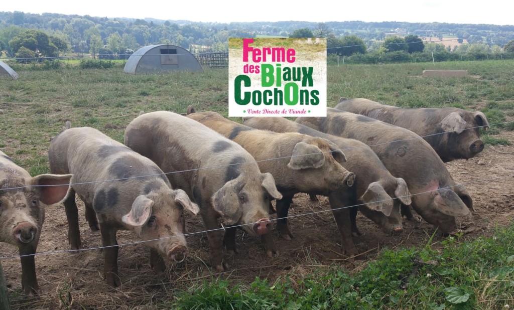 viande à la ferme